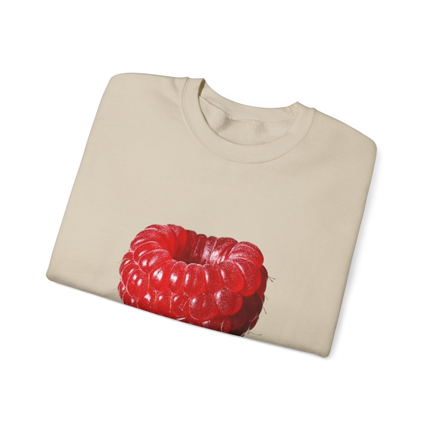 Raspberry Sweatshirt